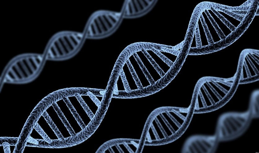 فحص الأمراض الوراثية قبل الحمل: دليل الكشف المبكر والوقاية