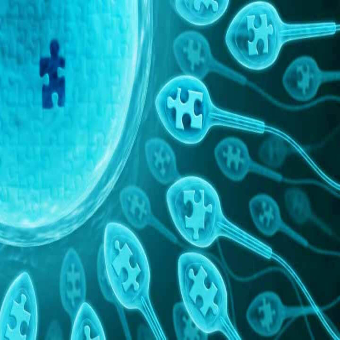 دوالي الخصية والعقم: الأسباب، الأعراض، والعلاج